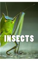 Insects (Journal / Notebook)