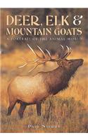 Deer, Elk & Mountain Goats: A Portrait of the Animal World