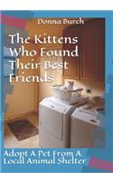 Kittens Who Found Their Best Friends