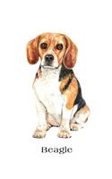 Beagle: Large Lined Journal 8.5 x 11