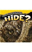 Why Do Animals Hide?