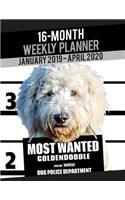 2019-2020 Weekly Planner - Most Wanted Goldendoodle (Golden Retriever Poodle): Daily Diary Monthly Yearly Calendar Large 8.5" x 11" Schedule Journal Organizer Notebook Appointment(31 Dog Planners 2019-2020)