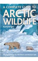 A Complete Guide to Arctic Wildlife