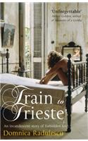 Train to Trieste