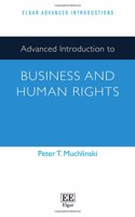 Advanced Introduction to Business and Human Rights