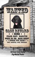 Retriever Curly-Coated Dog Wanted Poster: Handwriting Practice Paper for Kids Notebook with Dotted Lined Sheets for K-3 Students Featuring 120 Pages 6x9
