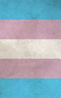 Transgender Pride Flag Notebook