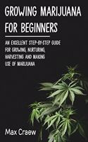 Growing Marijuana for Beginners