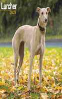 Lurcher 2023 Wall Calendar