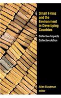 Small Firms and the Environment in Developing Countries