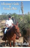 Beginner's Guide to Owning a Mule