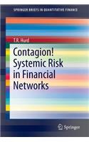 Contagion! Systemic Risk in Financial Networks