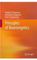 Principles of Bioenergetics