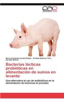 Bacterias lácticas probióticas en alimentación de suinos en levante