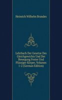 Lehrbuch Der Gesetze Des Gleichgewichts Und Der Bewegung Fester Und Flussiger Korper, Volumes 1-2 (German Edition)