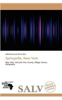 Springville, New York