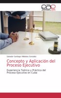 Concepto y Aplicación del Proceso Ejecutivo