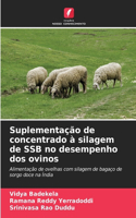 Suplementação de concentrado à silagem de SSB no desempenho dos ovinos