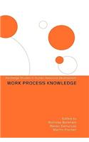 Work Process Knowledge