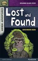 Rapid Stage 7 Assessment book: Lost and Found