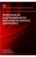 Principles of Electromagnetic Methods in Surface Geophysics