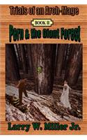 Trials of an Arch-Mage: Book II - Pern and the Giant Forest