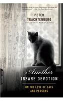 Another Insane Devotion