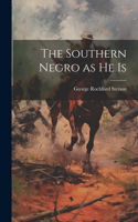 Southern Negro as he Is