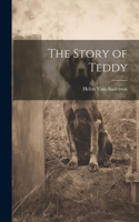 Story of Teddy