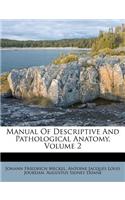 Manual of Descriptive and Pathological Anatomy, Volume 2