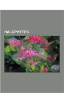 Halophytes: Abronia Maritima, Agropyron Pungens, Allenrolfea, Atriplex, Atriplex Argentea, Atriplex Coronata, Atriplex Coulteri, a
