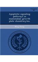 Apoptotic Signaling Pathways in Mammalian Growth Plate Chondrocytes