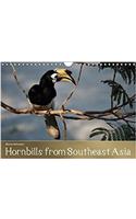 Hornbills from Southeastern Asia 2018