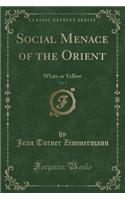 Social Menace of the Orient, Vol. 2: White or Yellow (Classic Reprint): White or Yellow (Classic Reprint)