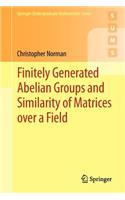 Finitely Generated Abelian Groups and Similarity of Matrices Over a Field