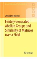 Finitely Generated Abelian Groups and Similarity of Matrices Over a Field