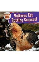 Vultures Eat Rotting Corpses!