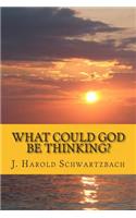 What Could God Be Thinking?