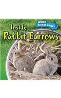 Inside Rabbit Burrows