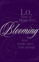 Blooming Advent Hymn Bulletin (Pkg of 50)