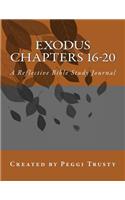 Exodus, Chapters 16-20: A Reflective Bible Study Journal(The Reflective Bible Study)