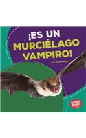¡Es un murciélago vampiro! (It's a Vampire Bat!)