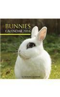 Bunnies Calendar 2016: 16 Month Calendar