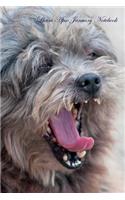 Lhasa Apso January Notebook Lhasa Apso Record, Log, Diary, Special Memories, To Do List, Academic Notepad, Scrapbook & More