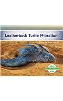 Leatherback Turtle Migration