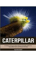 Caterpillar