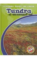 Tundra