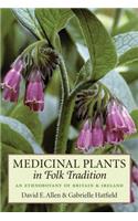 Medicinal Plants in Folk Tradition