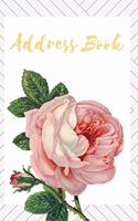 Address Book Large Print