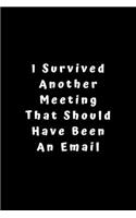 I Survived Another Meeting That Should Have Been An Email